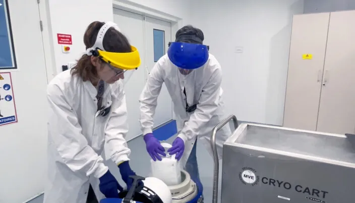 Cold Chain Pharmaceutical Storage – Cold Chain Logistics